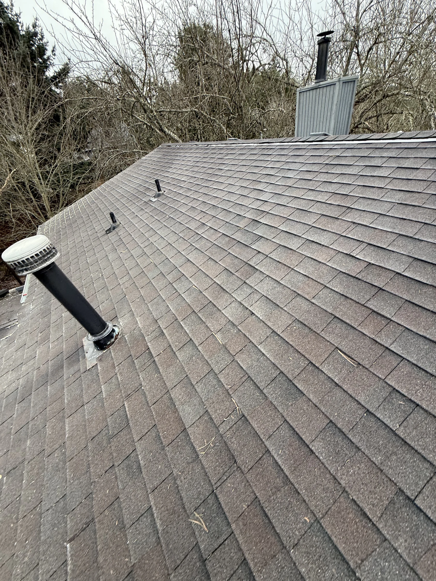 Treated asphalt roof near chimney and roof vents after cleaning in West Beaverton Oregon