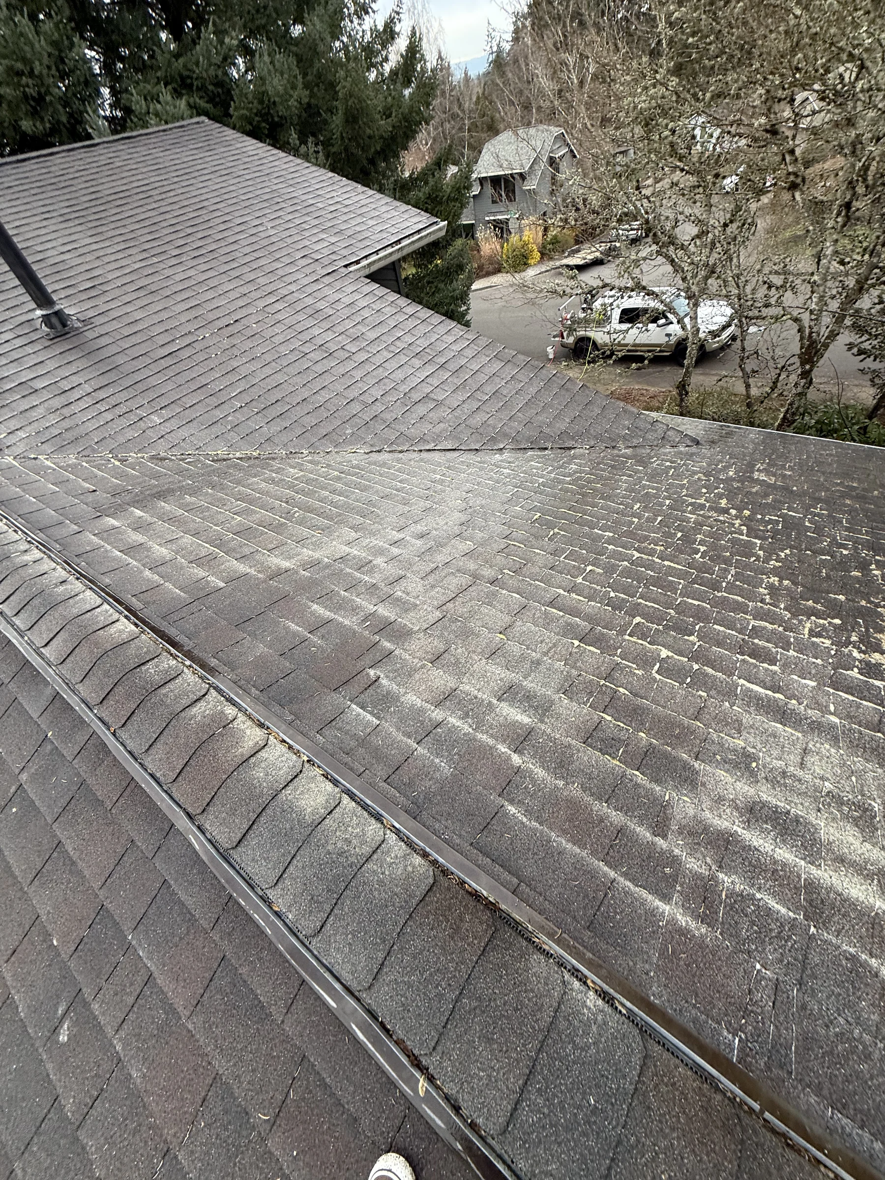 Treated asphalt shingle roof with West Beaverton neighborhood and trees in the background