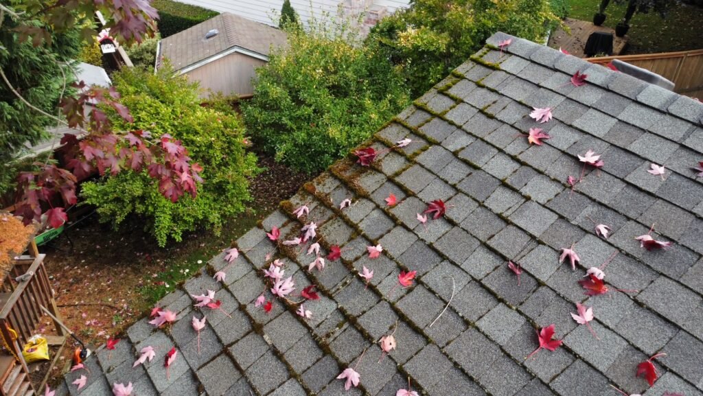 Roof cleaning and moss removal service in Hillsboro Oregon